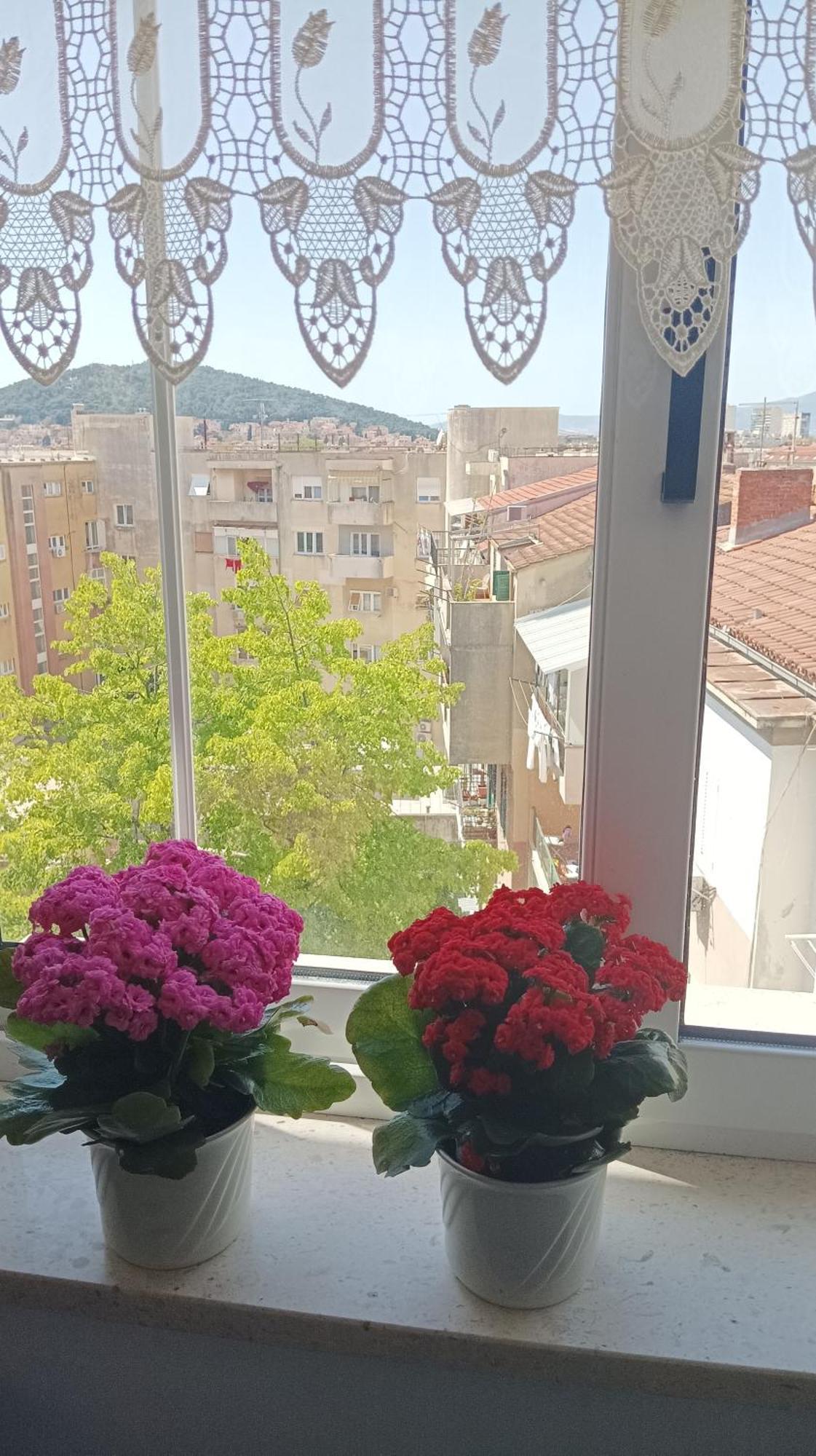 Leilighet Agava With Terrace Near Old Town